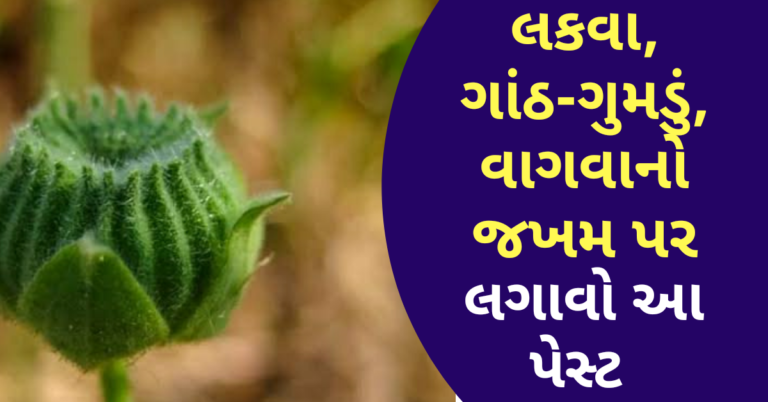 લકવા, ગાંઠ-ગુમડું, વાગવાનો જખમ પર લગાવો આ ઔસધની પેસ્ટ