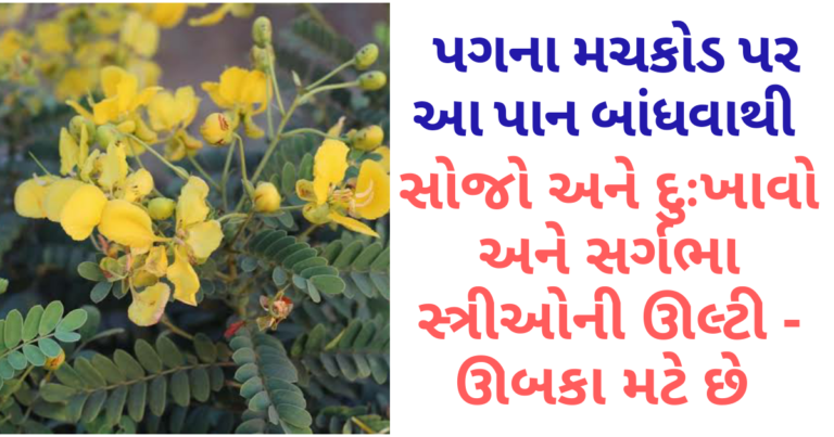 પગના મચકોડ પર આ પાન બાંધવાથી સોજો અને દુઃખાવો તેમજ સર્ગભા સ્ત્રીઓની ઊલ્ટી – ઊબકા મટે છે