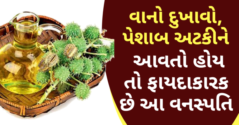 વાનો દુખાવો, પેશાબ અટકીને આવતો હોય તો ફાયદાકારક છે આ વનસ્પતિ