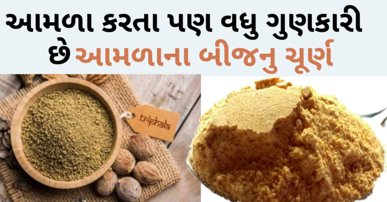 આમળા કરતા પણ વધુ ગુણકારી છે આમળાના બીજનુ ચૂર્ણ