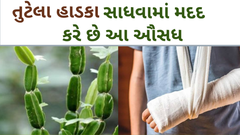 તુટેલા હાડકા સાધવામાં મદદ કરે છે આ ઔસધ