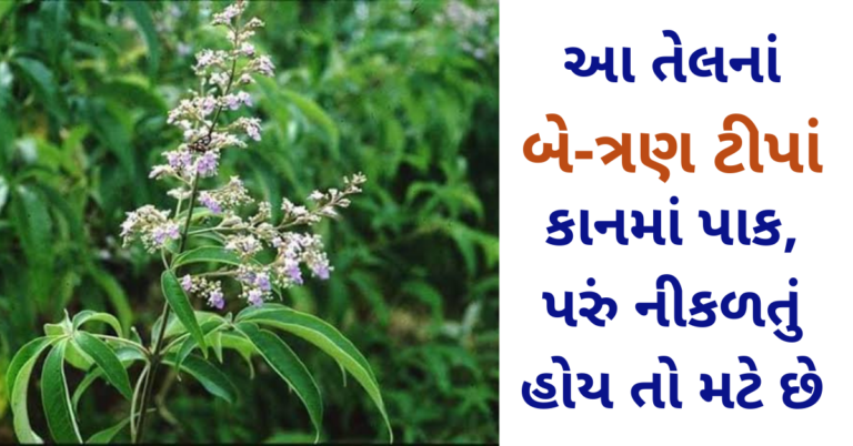 આ તેલનાં બે-ત્રણ ટીપાં  કાનમાં પાક, પરું નીકળતું હોય તો મટે છે