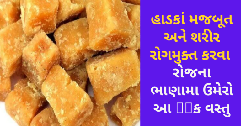 હાડકાં મજબૂત અને શરીર રોગમુક્ત કરવા રોજના ભાણામા ઉમેરો આ અેક વસ્તુ