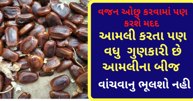 આમલી કરતા પણ વધુ  ગુણકારી છે આમલીના બીજ વાંચવાનુ ભૂલશો નહી