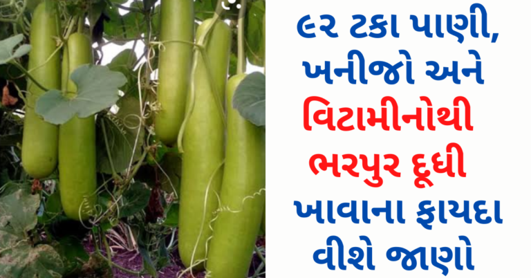 ૯૨ ટકા પાણી, ખનીજો અને વિટામીનોથી ભરપુર દૂધી ખાવાના ફાયદા વીશે જાણો