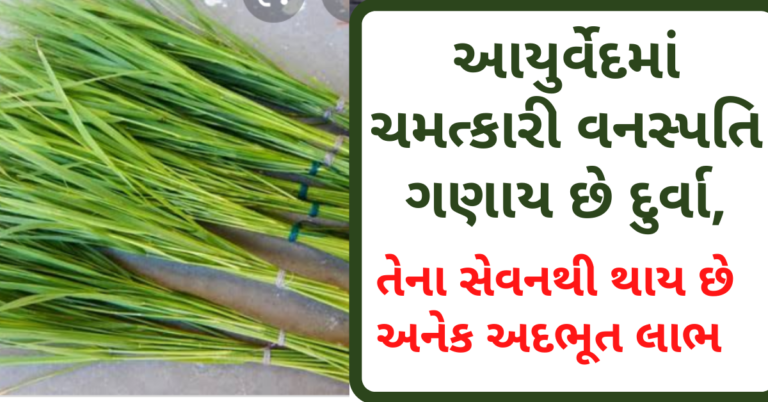 આયુર્વેદમાં ચમત્કારી વનસ્પતિ ગણાય છે દુર્વા, તેના સેવનથી થાય છે અનેક અદભૂત લાભ