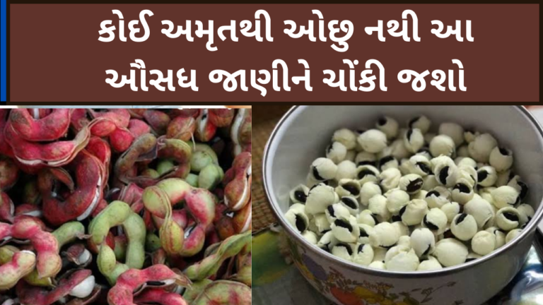 કોઈ અમૃતથી ઓછુ નથી આ ઔસધ જાણીને ચોંકી જશો
