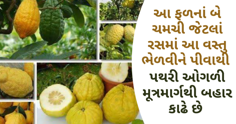 આ ફળનાં બે ચમચી જેટલાં રસમાં આ વસ્તુ ભેળવીને પીવાથી પથરી ઓગળી મૂત્રમાર્ગથી બહાર કાઢે છે