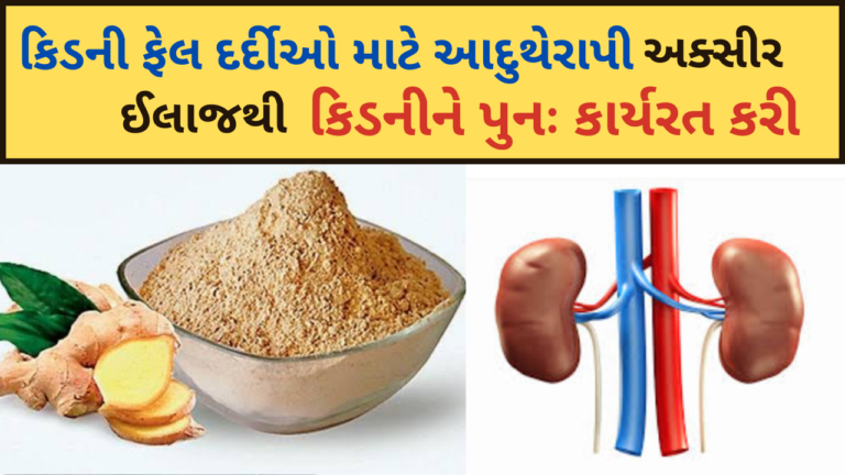 કિડની ફેલ દર્દીઓ માટે આદુથેરાપી અક્સીર ઈલાજથી કિડનીને પુનઃ કાર્યરત કરી