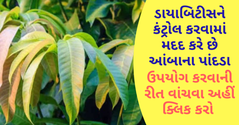 ડાયાબિટીસને કંટ્રોલ કરવામાં મદદ કરે છે આંબાના પાંદડા