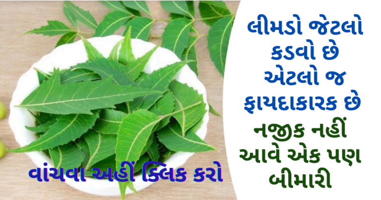 લીમડો જેટલો કડવો છે એટલો જ ફાયદાકારક છે નજીક નહીં આવે એક પણ બીમારી