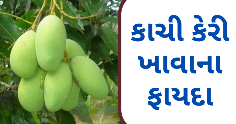 ઉનાળામાં કાચી કેરી ખાવાના ફાયદા