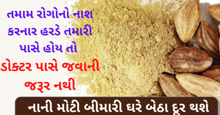 તમામ રોગોનો નાશ કરનાર હરડે તમારી પાસે હોય તો ડોક્ટર પાસે જવાની જરૂર નથી