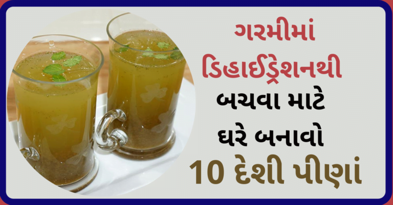 ગરમીમાં ડિહાઈડ્રેશન થી બચવા માટે ઘરે બનાવો 10 દેશી પીણાં