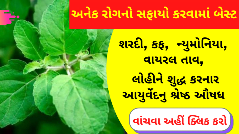 શરદી,કફ,ન્યુમોનિયા,  વાયરલ તાવ,લોહીને શુદ્ધ કરનાર આયુર્વેદનુ શ્રેષ્ઠ ઔષધ
