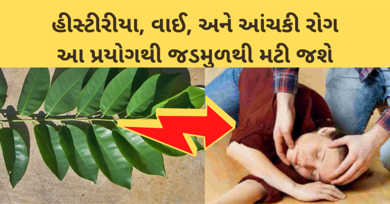 હીસ્ટીરીયા, વાઈ, અને આંચકી રોગ આ પ્રયોગથી જડમુળથી મટી જશે