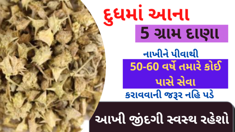 દુધમાં આના 5 ગ્રામ દાણા નાખીને પીવાથી 50-60 વર્ષે તમારે કોઈ પાસે સેવા કરાવવાની જરૂર નહિ પડે આખી જીંદગી સ્વસ્થ રહેશો