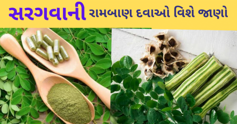 સરગવાની રામબાણ દવાઓ વિશે જાણો