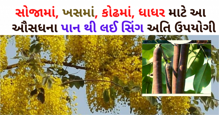 આ ઔસધના પાન થી લઈ સિંગ અતિ ઉપયોગી છે