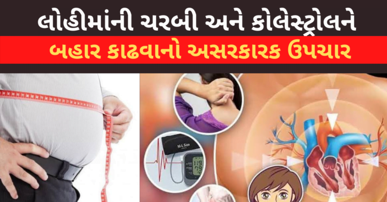 લોહીમાંની ચરબી અને કોલેસ્ટ્રોલને બહાર કાઢવાનો અસરકારક ઉપચાર