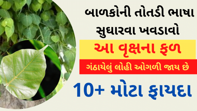 બાળકોની તોતડી ભાષા સુઘારવા ખવડાવો આ વૃક્ષના ફળ
