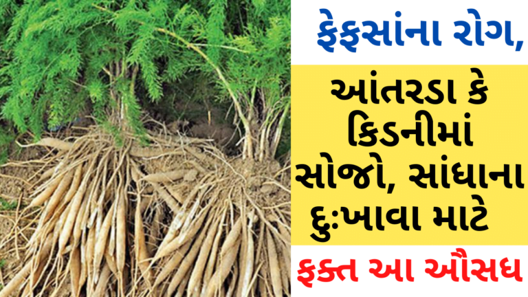 ફેફસાંના રોગ, આંતરડા કે કિડનીમાં સોજો, સાંધાના દુઃખાવા માટે ફક્ત આ ઔસધ