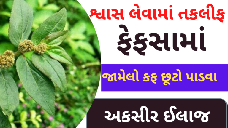 શ્વાસ લેવામાં તકલીફ અને ફેફસામાં જામેલો  કફ છૂટો પાડવા અકસીર ઈલાજ