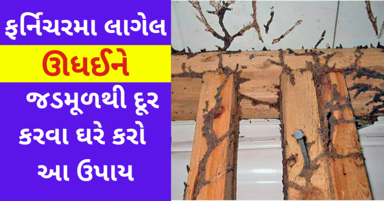 ફર્નિચરમા લાગેલ ઊધઈને જડમૂળથી દૂર કરવા ઘરે કરો આ ઉપાય