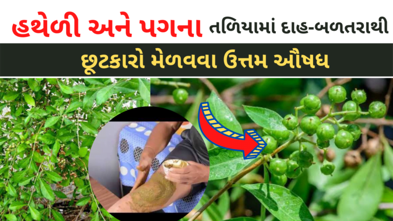 હથેળી અને પગના તળિયામાં દાહ-બળતરાથી છૂટકારો મેળવવા ઉત્તમ ઔષધ