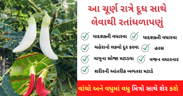 આ ચૂર્ણ રાત્રે દૂધ સાથે લેવાથી રતાંધળાપણું તેમજ  યાદશક્તી વધારવા, મગજની નબળાઈ દુર કરવા, ચહેરાનો લકવો દુર કરવા તથા વાયુના સોજા મટાડવા, હરસ માટે પણ ફાયદાકારક છે