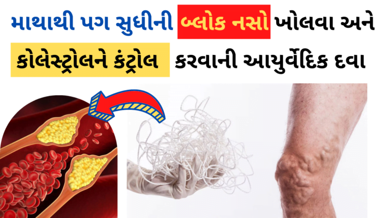 માથાથી પગ સુધીની બ્લોક નસો ખોલવા અને કોલેસ્ટ્રોલને કંટ્રોલ કરવાની આરુર્વેદીક દવા