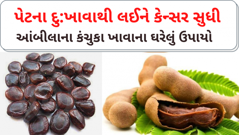 પેટના દુ:ખાવાથી લઈને કેન્સર સુધી આંબીલાના કંચુકા ખાવાના ઘરેલું ઉપાયો