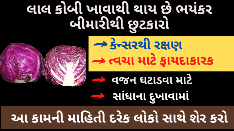 લાલ કોબી ખાવાથી થાય છે ભયંકર બીમારીથી છુટકારો