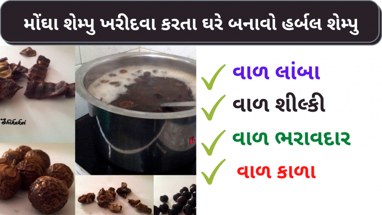 મોંઘા શેમ્પુ ખરીદવા કરતા ઘરે બનાવો હર્બલ શેમ્પુ