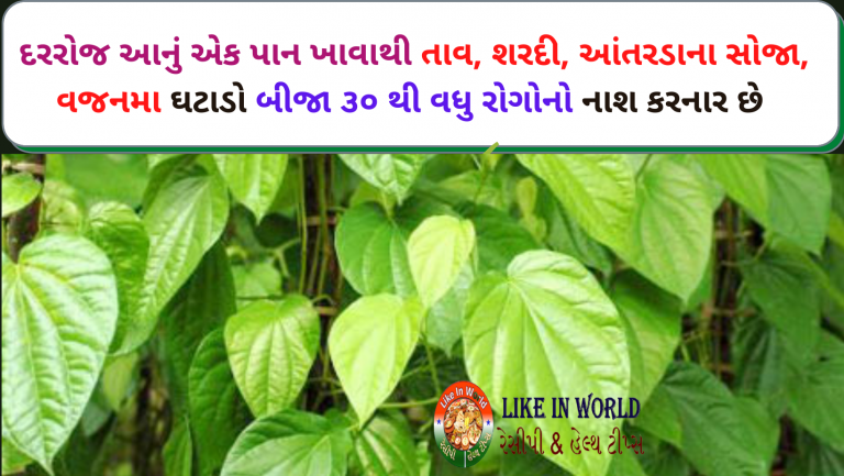 દરરોજ આનું એક પાન ખાવાથી તાવ, શરદી, આંતરડાના સોજા, વજનમા ઘટાડો બીજા ૩૦ થી વધુ રોગોનો નાશ કરનાર છે