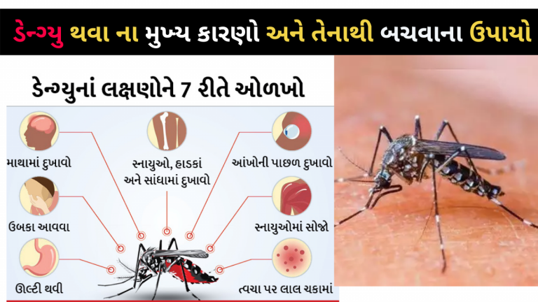 ડેન્ગ્યુ થવા ના મુખ્ય કારણો અને તેનાથી બચવાના ઉપાયો