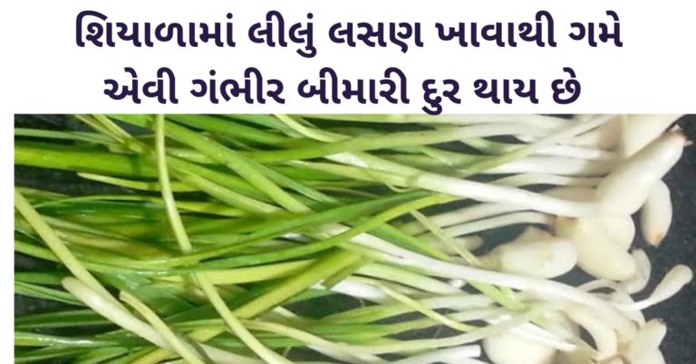 શિયાળામાં લીલું લસણ ખાવાથી ગંભીર બીમારી દુર થાય છે