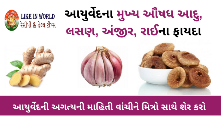 આયુર્વેદના મુખ્ય ઔષધ આદુ, લસણ, અંજીર, રાઈના ફાયદા