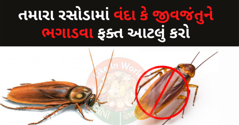 તમારા રસોડામાં વંદા કે જીવજંતુને ભગાડવા ફક્ત આટલું કરો