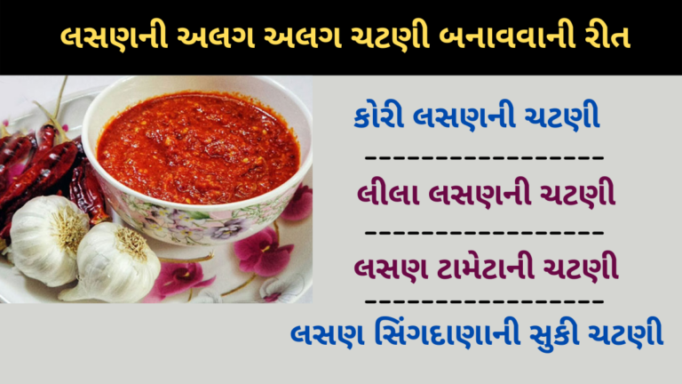 લસણની અલગ અલગ ચટણી બનાવવાની રીત