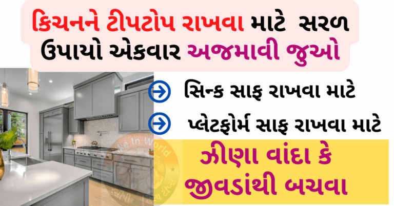 કિચનને ટીપટોપ રાખવા માટે  સરળ ઉપાયો એકવાર અજમાવી જુઓ