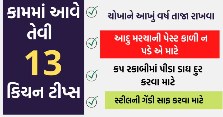 ઉપયોગમાં આવે તેવી 13 કામની કિચન ટીપ્સ