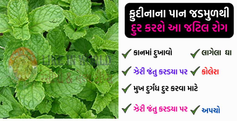 ફુદીનાના પાન જડમુળથી દુર કરશે આ જટિલ રોગ