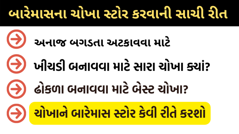 બારેમાસના ચોખા સ્ટોર કરવાની સાચી રીત