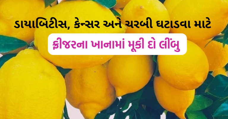 ડાયાબિટીસ, કેન્સર અને ચરબી ઘટાડવા માટે ફ્રીજરના ખાનામાં મૂકી દો લીંબુ