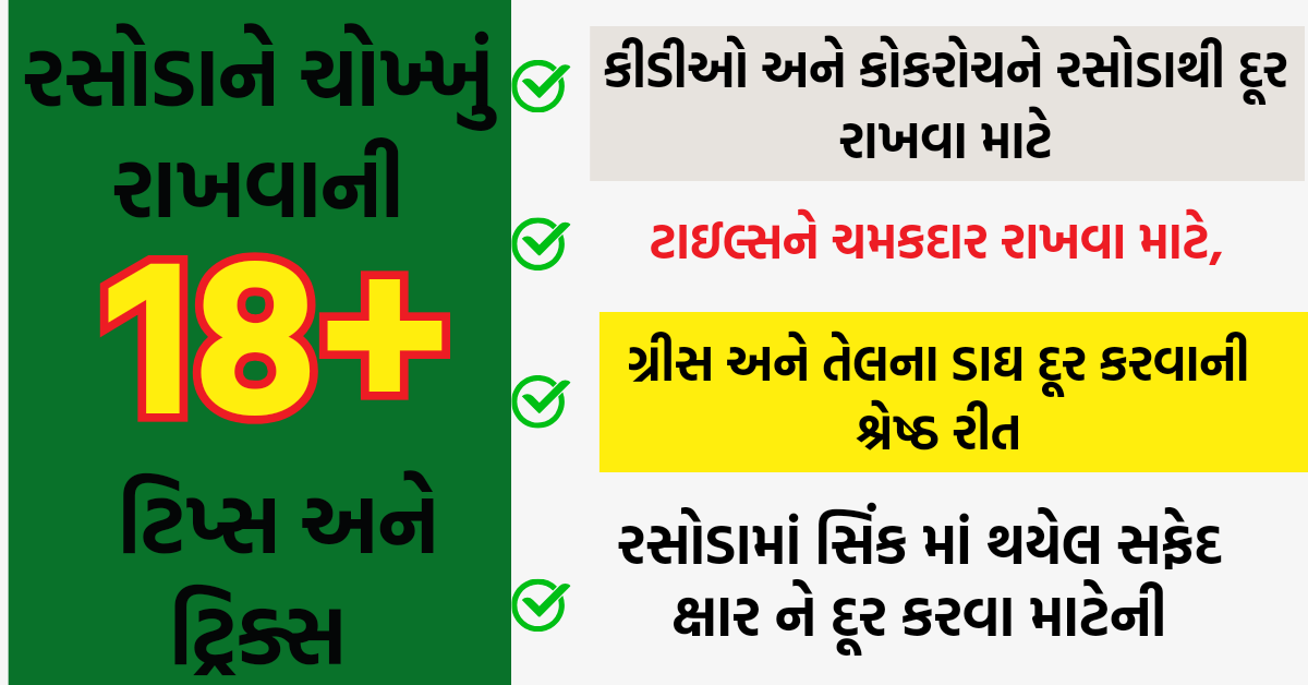 ઓછી મહેનતે રસોડાને ચોખ્ખું રાખવાની અગત્યની ટિપ્સ