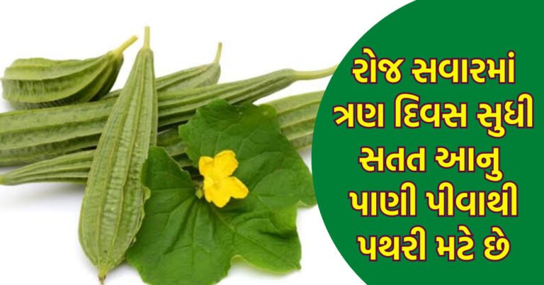 માંદા માણસને સાજા કરે છે આ શાકભાજી અનેક ગુણોથી સભર ગલકાં અને તુરિયાં