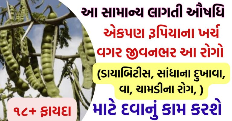 બાવળનો ગુંદર ડાયાબીટીસ માથાનો દુખાવો, કમર દર્દ, ખાંસી જેવા અનેક રોગો માટે લાભકારી છે વાંચો અને શેર કરો