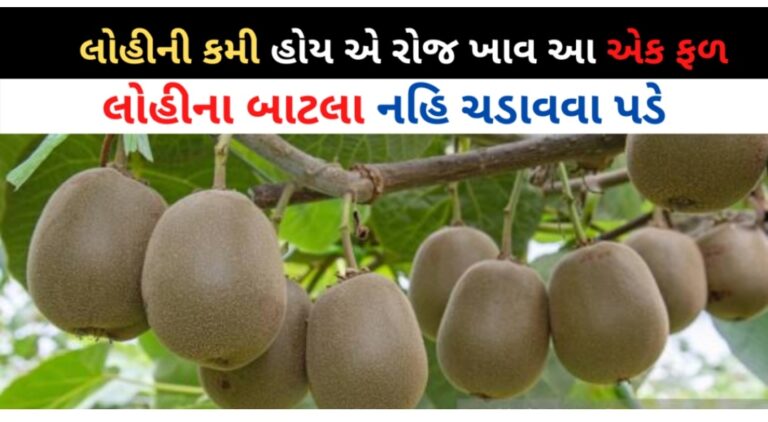 લોહીની કમી હોય એ રોજ ખાવ આ એક ફળ લોહીના બાટલા નહિ ચડાવવા પડે