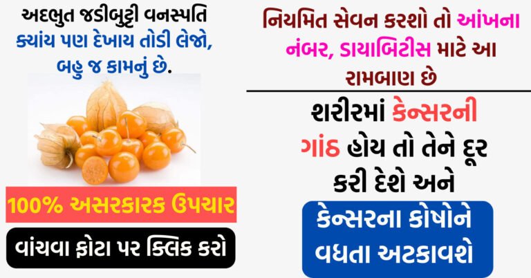 આ અદભુત જડીબુટ્ટી વનસ્પતિ છે આ ફળ તમને ક્યાંય પણ દેખાય તોડી લેજો, બહુ જ કામનું છે.